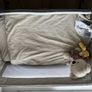 Chicco Next2Me Bedside Crib Image 2