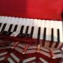 Parrot 72 Key Bass Accordion Image 4