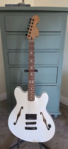 Custom built Fender Tom DeLonge Starcaster