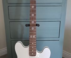 Custom built Fender Tom DeLonge Starcaster