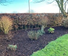 Bark mulch