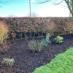Bark mulch