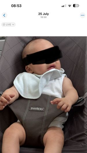 baby bjorn baby bouncer bliss - Anthracite