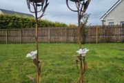Vintage Bronze and Porcelain Floor Candleholders
