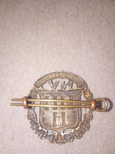 National Volunteers Cap Badge