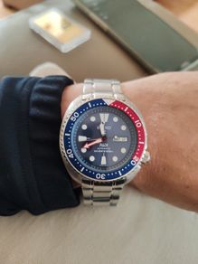 seiko padi turtle