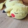 pokemon plush Image 2