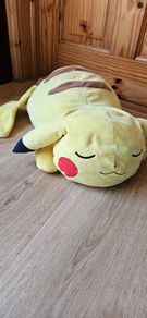 pokemon plush