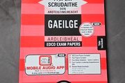 leaving cert irish papers