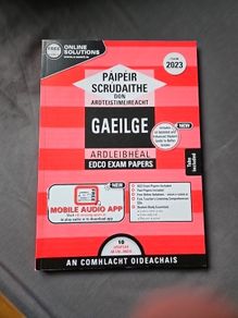leaving cert irish papers