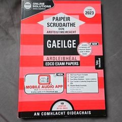leaving cert irish papers