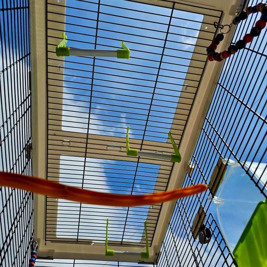 Vision by Hagen double bird cage.
