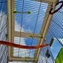 Vision by Hagen double bird cage. Image 9