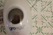 Gro Egg