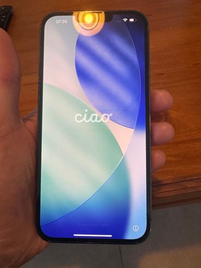iPhone 13 Pro Max
