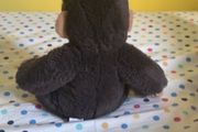 teddy