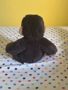 teddy