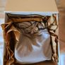 Bang and Olufsen beoplay portal PC/PS Headphones Image 7