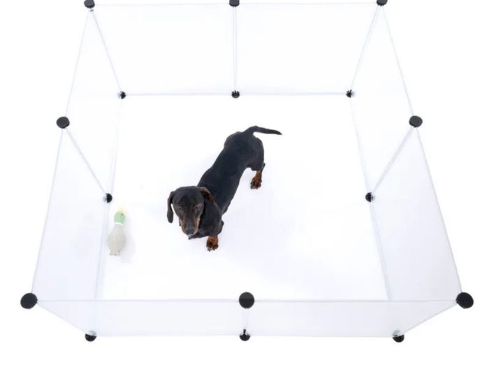 Puppy Playpen