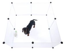 Puppy Playpen