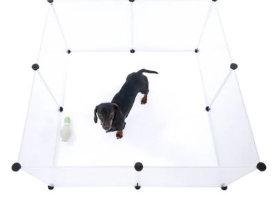 Puppy Playpen
