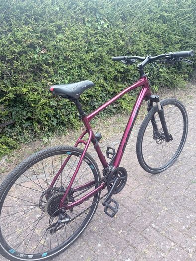 Giant roam 3