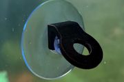 Single Hole Euphyllia Coral Holder (Tilted)