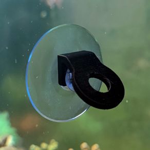 Single Hole Euphyllia Coral Holder (Tilted)
