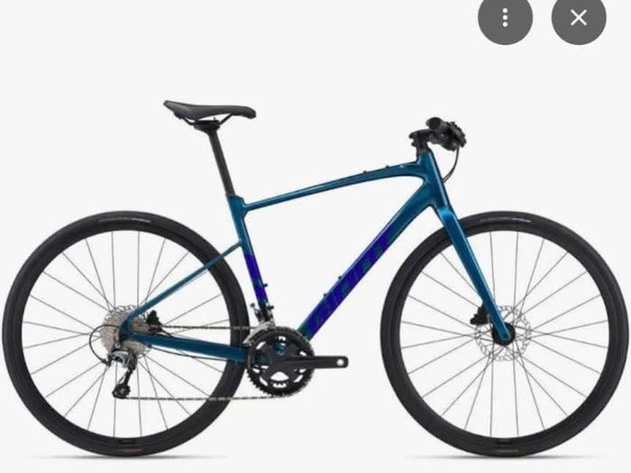 Stolen  bike  - Giant Fastroad Malahide