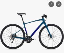 Stolen  bike  - Giant Fastroad Malahide
