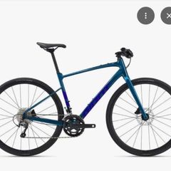 Stolen  bike  - Giant Fastroad Malahide