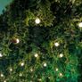 Cedarwood electric sauna ,ice baths & pergola Image 9