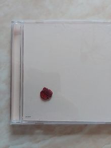 Sam Shalabi CDr  - Luteness