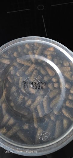 Fish food