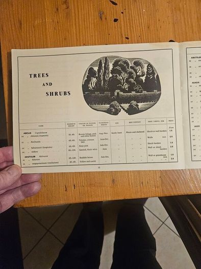 Dartington Hall Ltd Gardens Catalogue from 1935, featuring black-and-white botanical and landscape illustrations on the cover. In good condition. See photos for same.