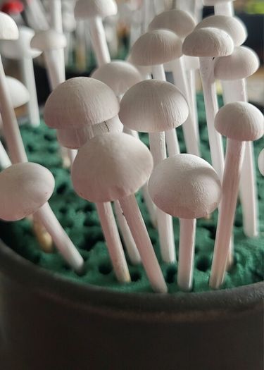 Handcrafted tiny wooden mushrooms