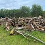 Fire wood for sale Image 3
