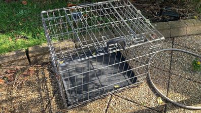 medium dog/pet cage carrier