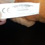 Shrek 2 large stuffed toy Image 5