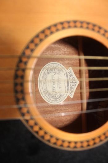 Washburn D10SCE Cutaway Acoustic Guitar