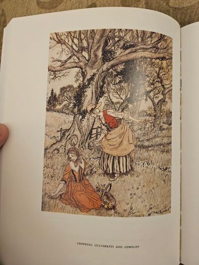 The Complete Angler.  By Isaak Walton. Illustrated By Arthur Rackham.  Large Volume 1963 Hardback With Dustjacket In Very Good Condition. See Photos For Same.