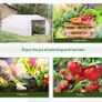 6 x 3 x 2m Walk in Polytunnel Greenhouse with Windows and Door for Garden, Backyard Image 6