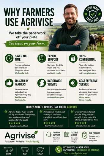 Bord Bia Audit Paperwork Prep Dairy, Beef & Sheep