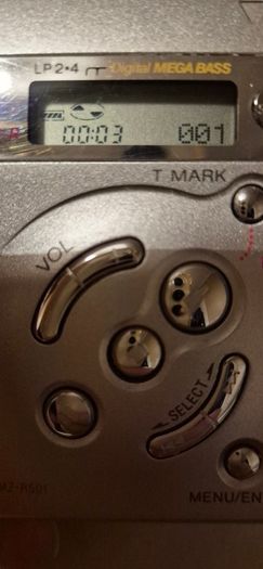 Sony Walkman MZ-R501