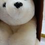 White Bear in a box Image 7