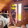 Wedding Guest Dress Image 4