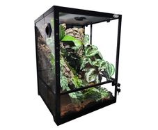 Reptile Nova Glass Terrarium 45x45x60cm RNT-45