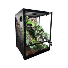 Reptile Nova Glass Terrarium 45x45x60cm RNT-45