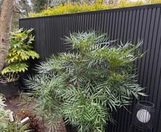 Composite cladding