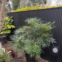 Composite cladding